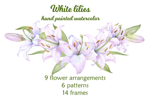 Download White Lilies Watercolor Clipart - Watercolor Collection