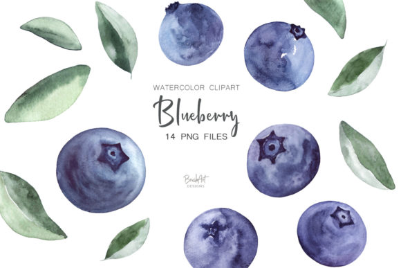 Download Blueberries Watercolor Clipart - Watercolor Collection