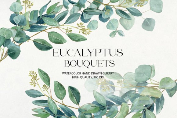 Download Watercolor Eucalyptus Bouquets Clipart - Watercolor Collection