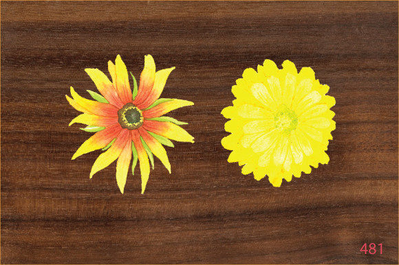 Download Hand  Painted  Watercolor Flower Design - Premium Resources