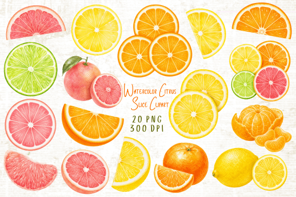 Download Watercolor Citrus Slice Clipart PNG - Watercolor Collection