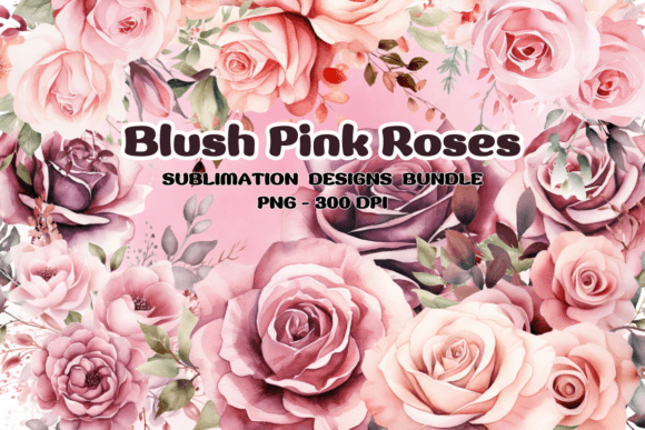 Download Blush Pink Roses Flowers Watercolor PNG - Watercolor Collection