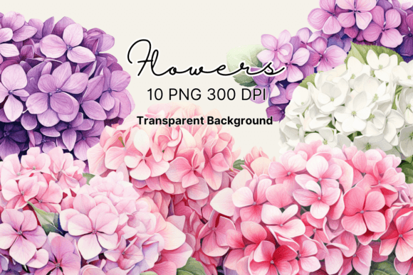 Download Watercolor Hydrangea Flowers Clipart - Watercolor Collection