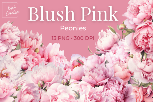 Download Blush Pink Peonies Watercolor Flowers - Watercolor Collection