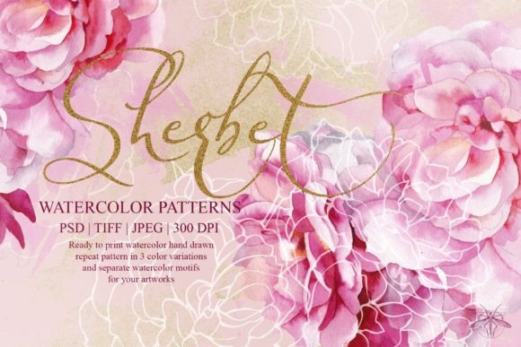 Download Sherbet | Watercolor Roses Patterns - Watercolor Collection