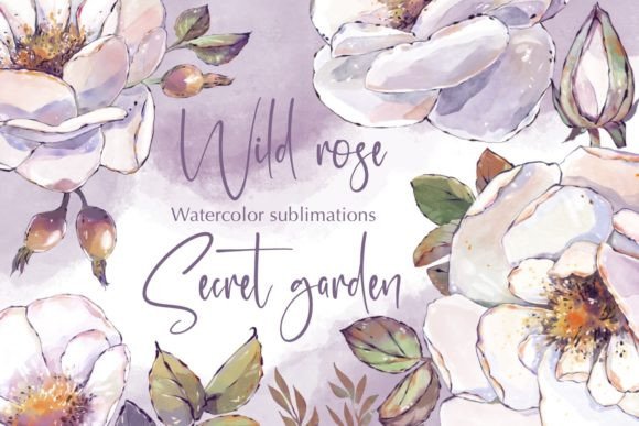 Download Wild Roses Watercolor Sublimations - Watercolor Collection