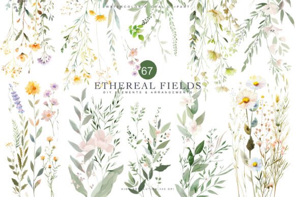 Download Watercolor Delicate Wildflower Clipart - Watercolor Collection