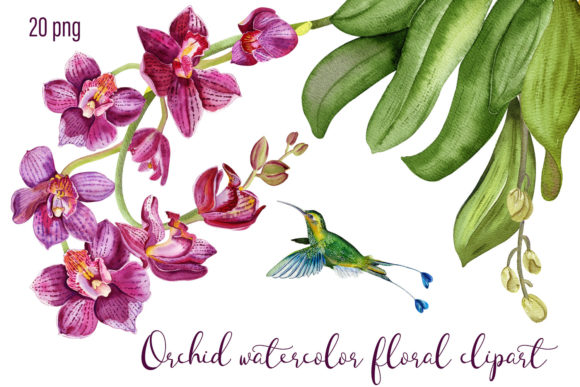 Download Orchid Watercolor Floral Digital Clipart - Watercolor Collection