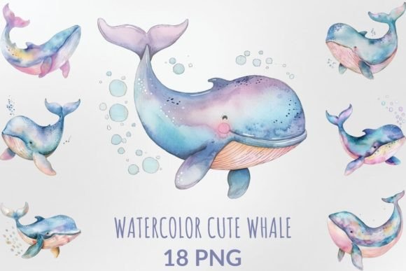 Download Watercolor Cute Whale Sublimation Bundle - Watercolor Collection