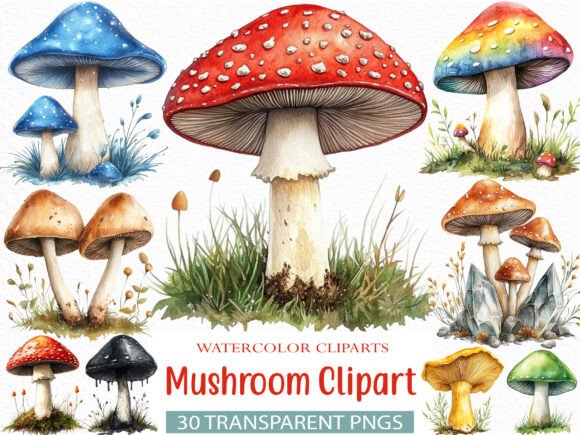 Download Watercolor Mushroom Clipart Bundle - Watercolor Collection
