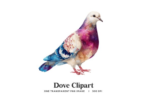 Download Watercolor Dove Clipart PNG - Watercolor Collection