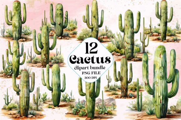 Download Boho Watercolor Cactus Clipart - Watercolor Collection