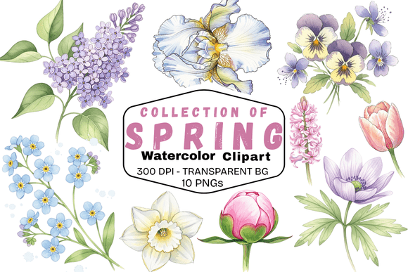 Download Delicate Spring Watercolor Florals - Watercolor Collection