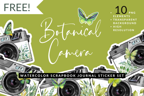 Download Watercolor Leaf Butterfly Camera Sticker - Watercolor Collection