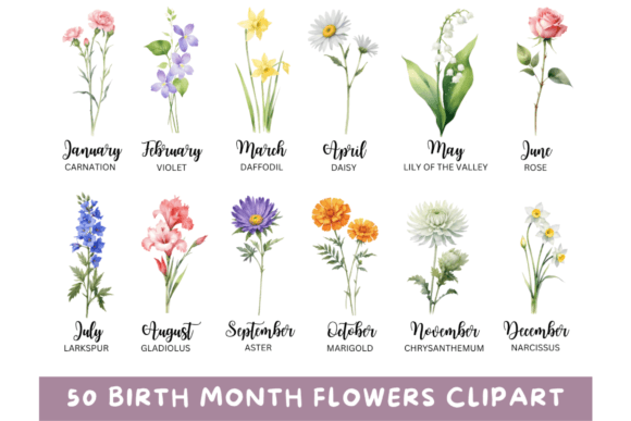 Download 50 Watercolor Birth Month Flowers PNG - Watercolor Collection