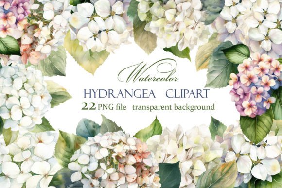 Download Hydrangea Clipart, White Watercolor - Watercolor Collection