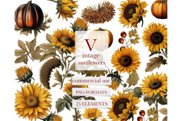 Download Vintage Watercolor Sunflower Clipart - Watercolor Collection