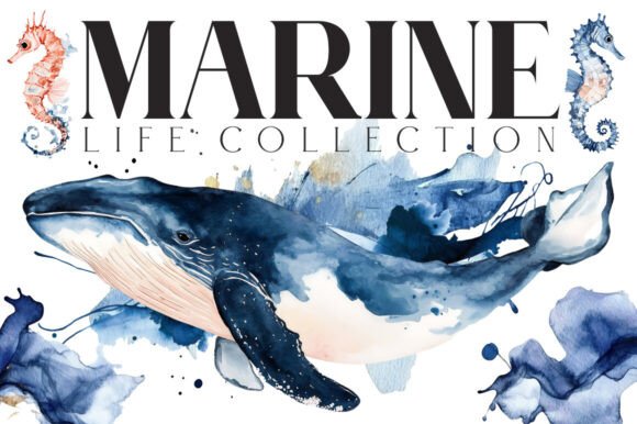 Download Marine Life Watercolor - Watercolor Collection