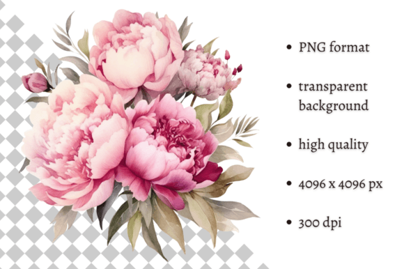 Download Watercolor Delicate Peonies Clipart - Watercolor Collection