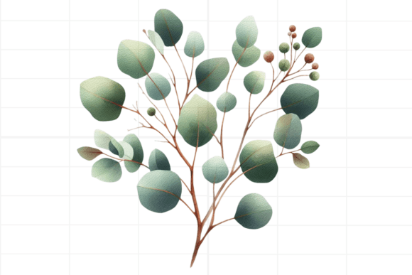 Download Eucalyptus Clipart. Watercolor Greenery - Watercolor Collection